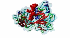 pdb:1CZY