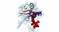 pdb:2LUE